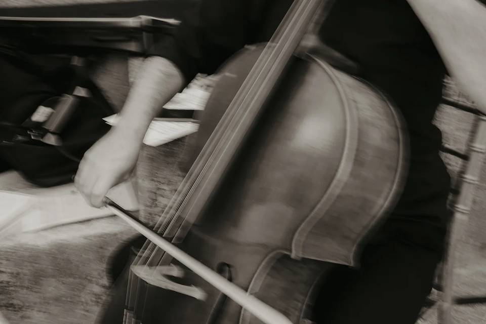 String Quartet Solutions