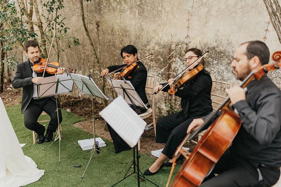 String Quartet Solutions