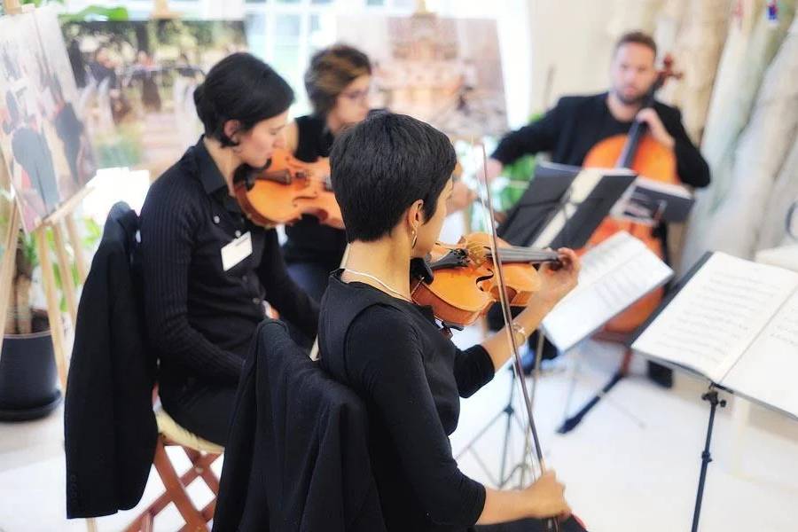 String Quartet Solutions