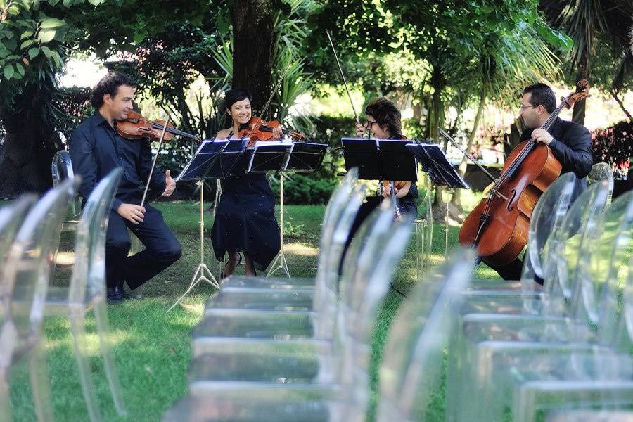 String Quartet Solutions