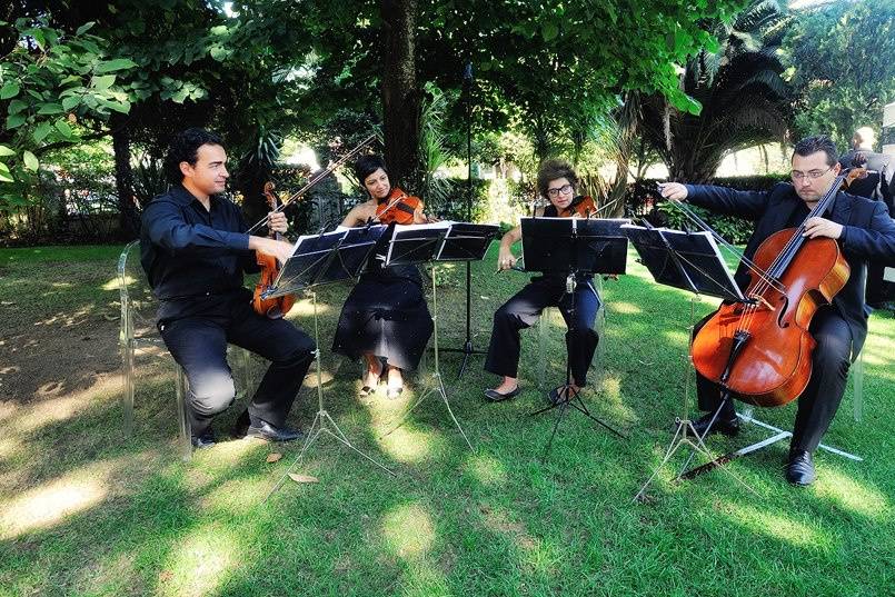 String Quartet Solutions