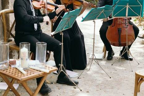String Quartet Solutions