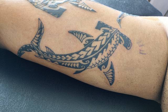 Bisão Ink - Tattoo
