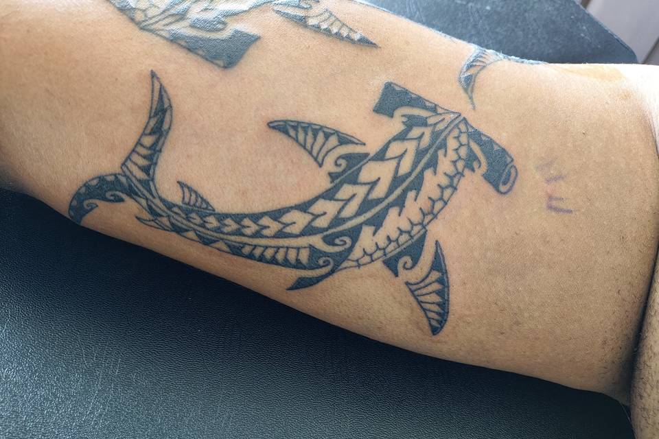 Bisão Ink - Tattoo