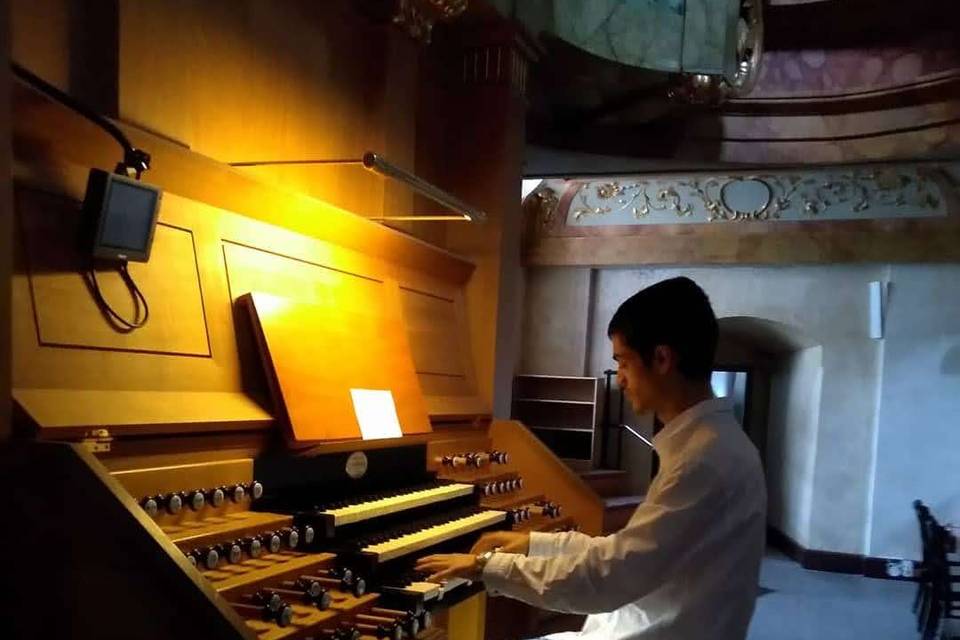 Órgão de Jesuitenkirche, Viena