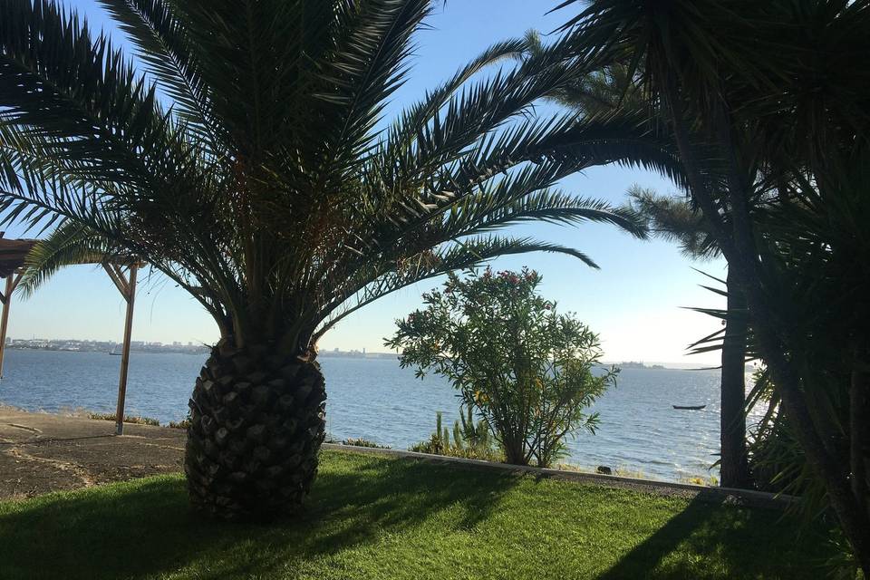 Ostras do Tejo Eventos