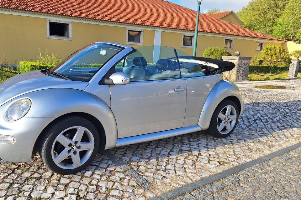 Serviço personalizado