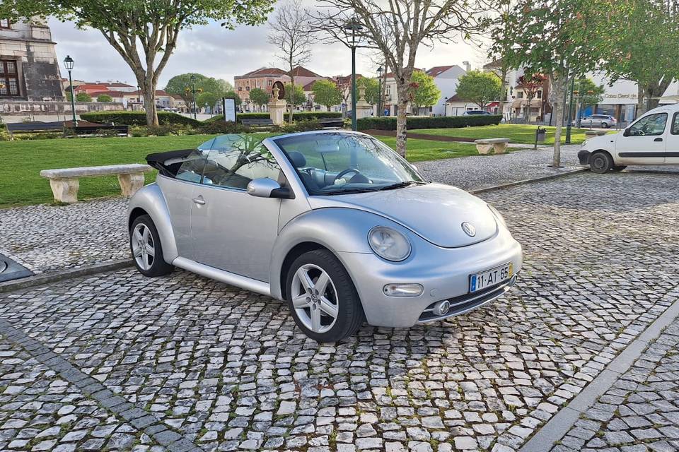 Beetle