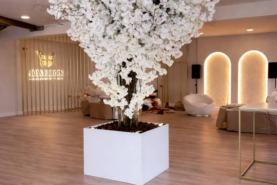 Árvore de cerejeira branca