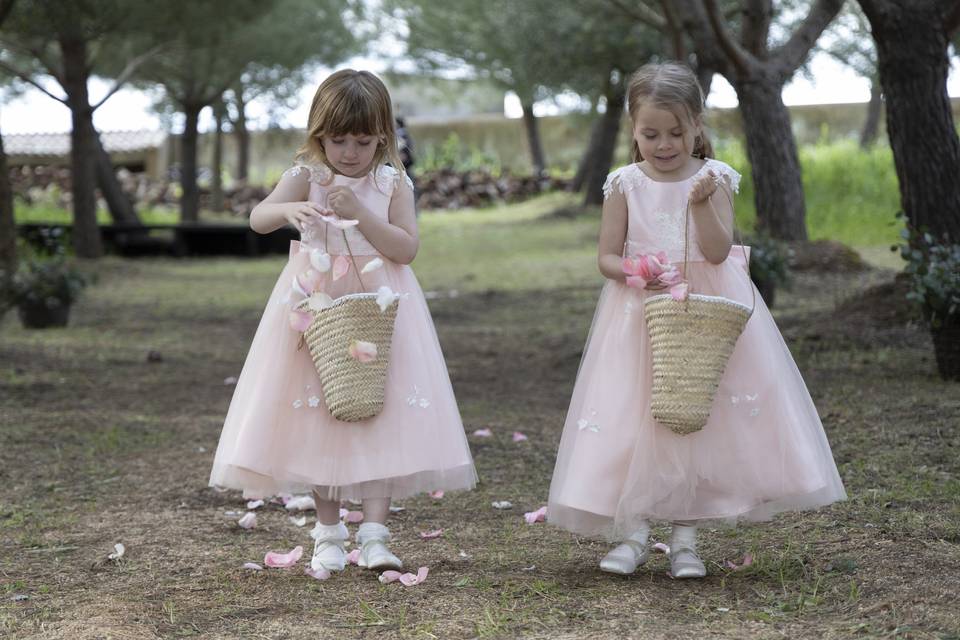 Casamento