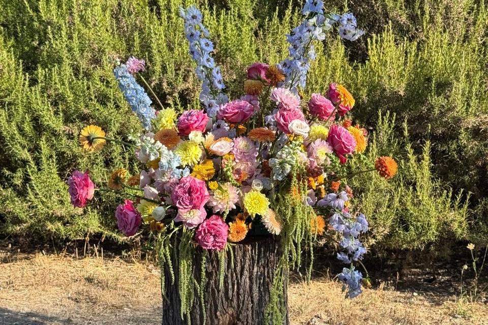 Flores