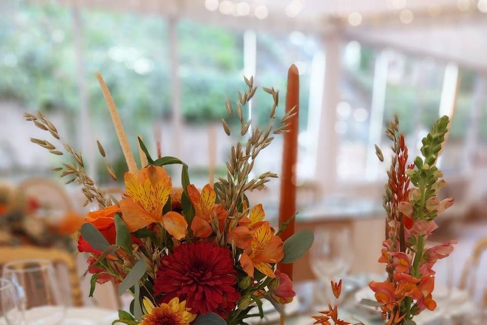 Dream Wedding