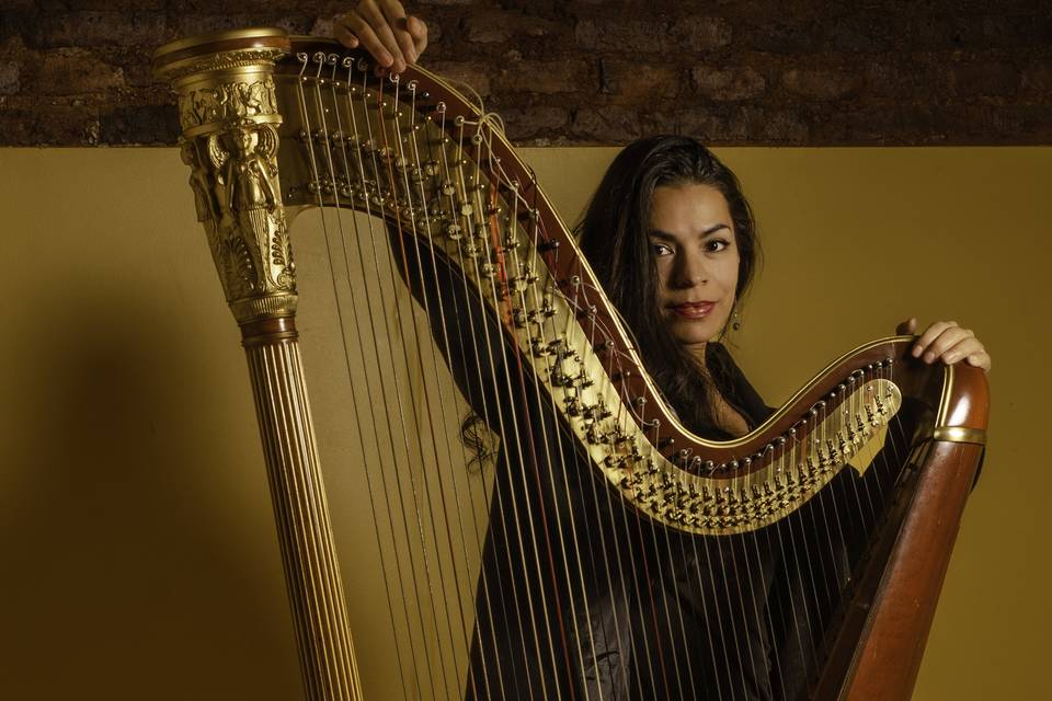 Sara Ramayo Kessler: harpista
