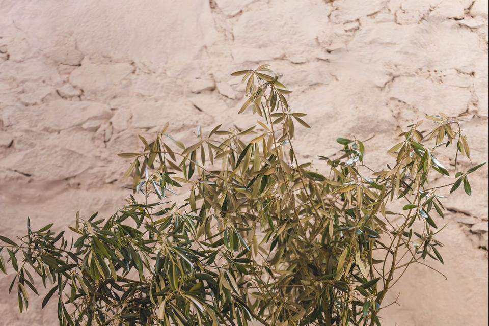 Detalhes