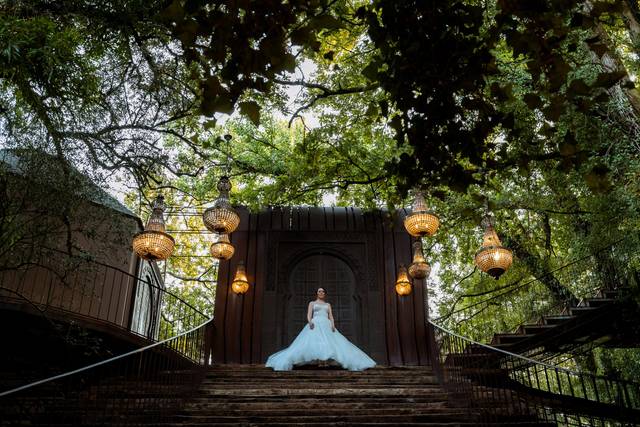 Wedding bride