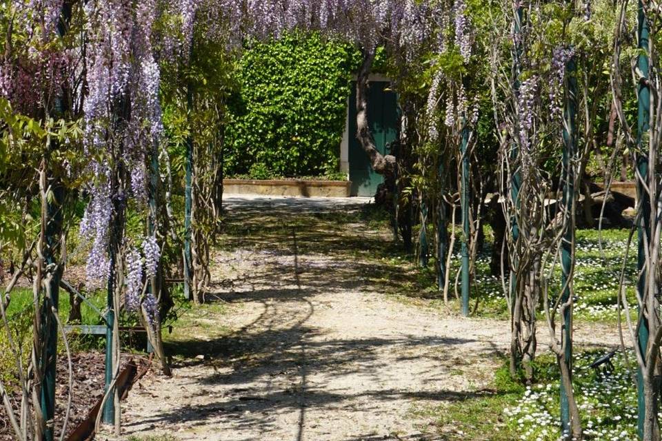 Jardim
