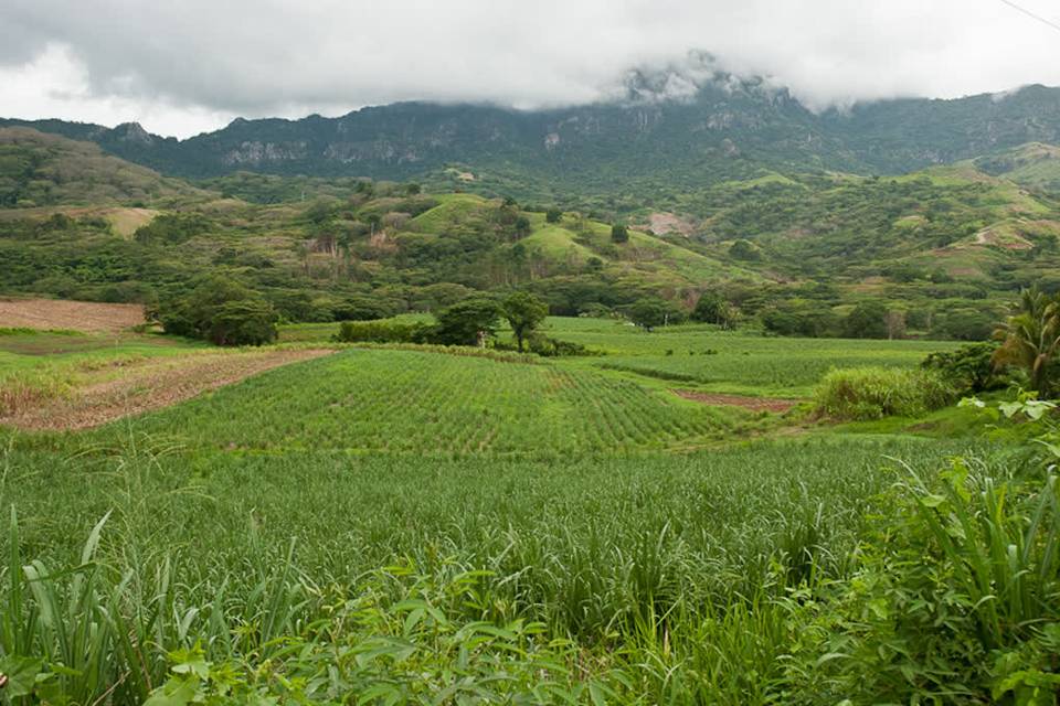 Fiji  Nausori Highlands