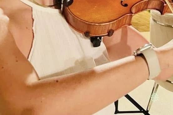 Violino