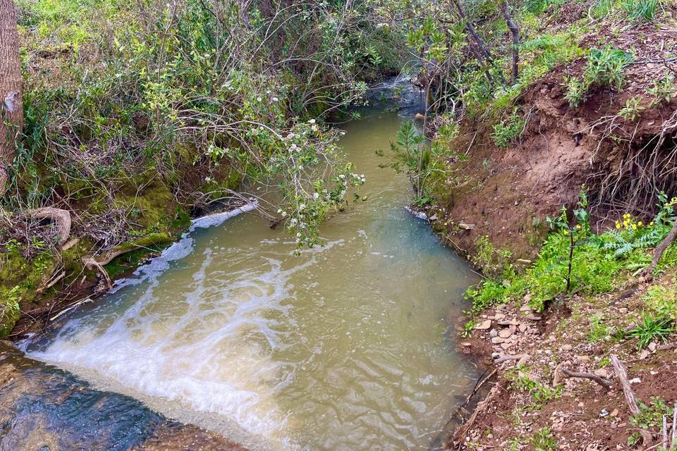 Ribeira Perna Seca