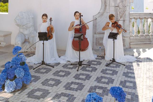 Adlib Strings