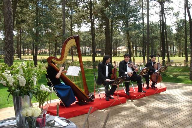 Grupo Intempore