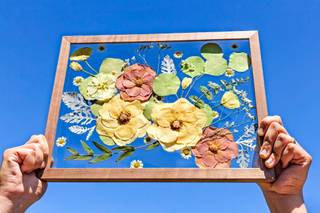 Flores à Beira-Rio - Preservação de Flores