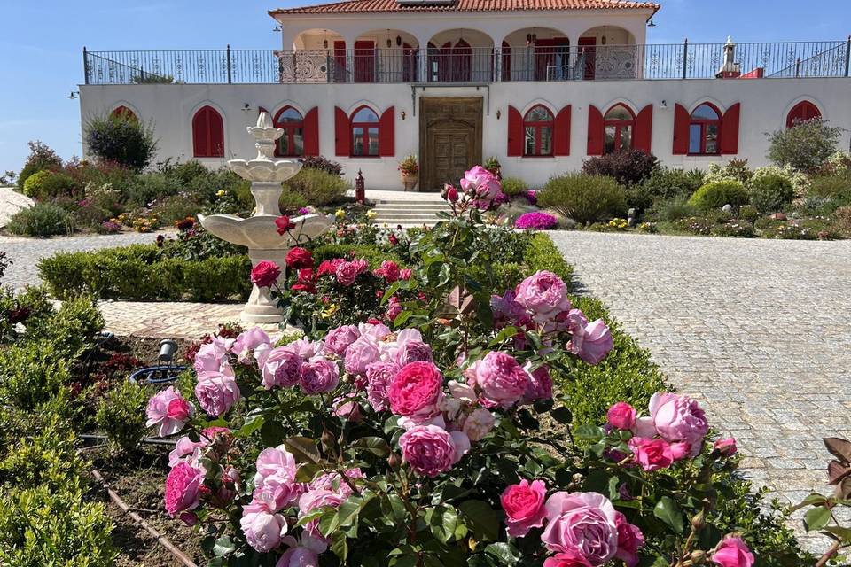Rose garden and fountain