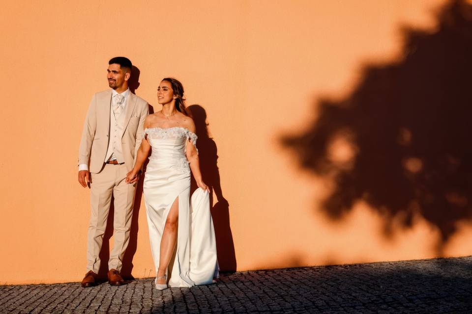 Vieiras foto