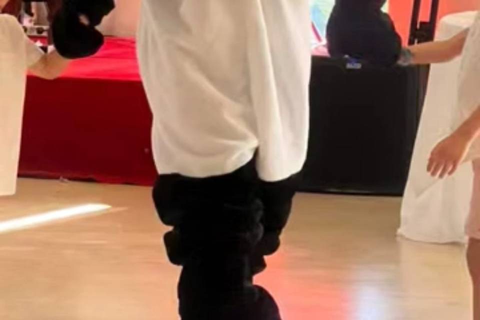 Panda