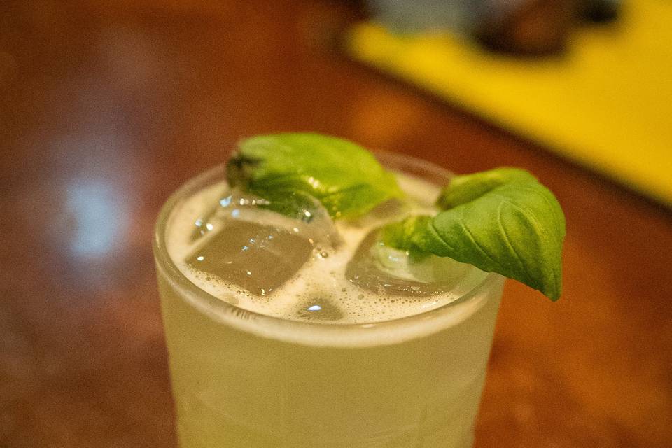 Gin basil
