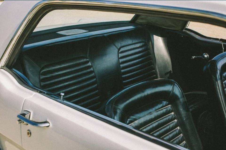 Mustang- interior