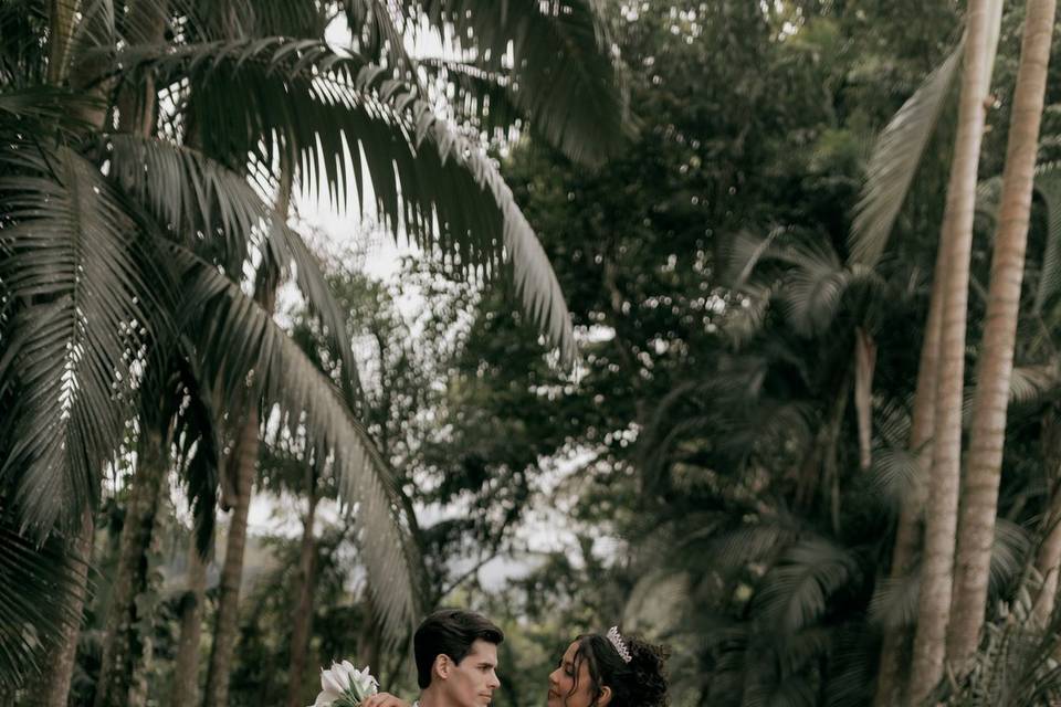 Amor
