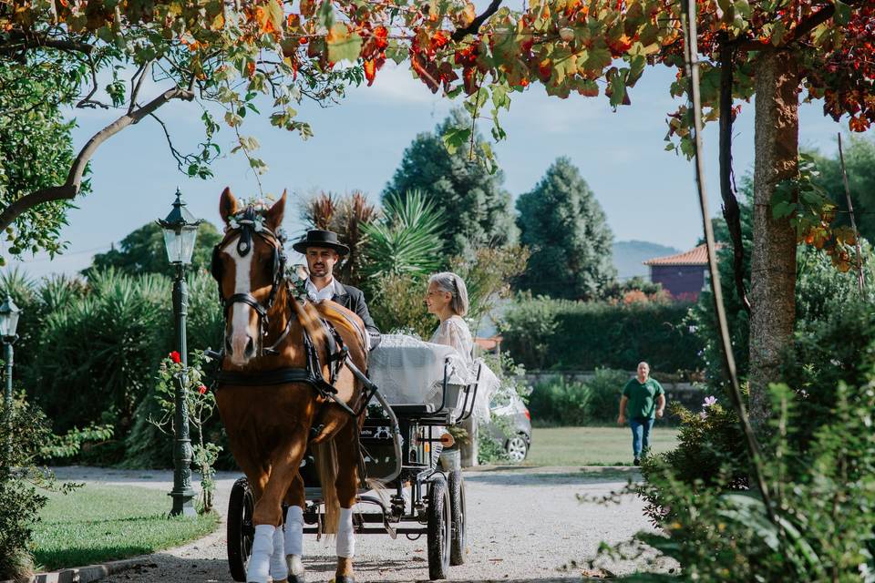 Uma chegada de sonho!