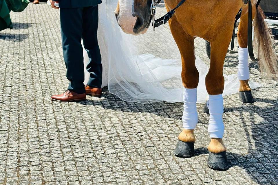 Quando o amor se faz presente!