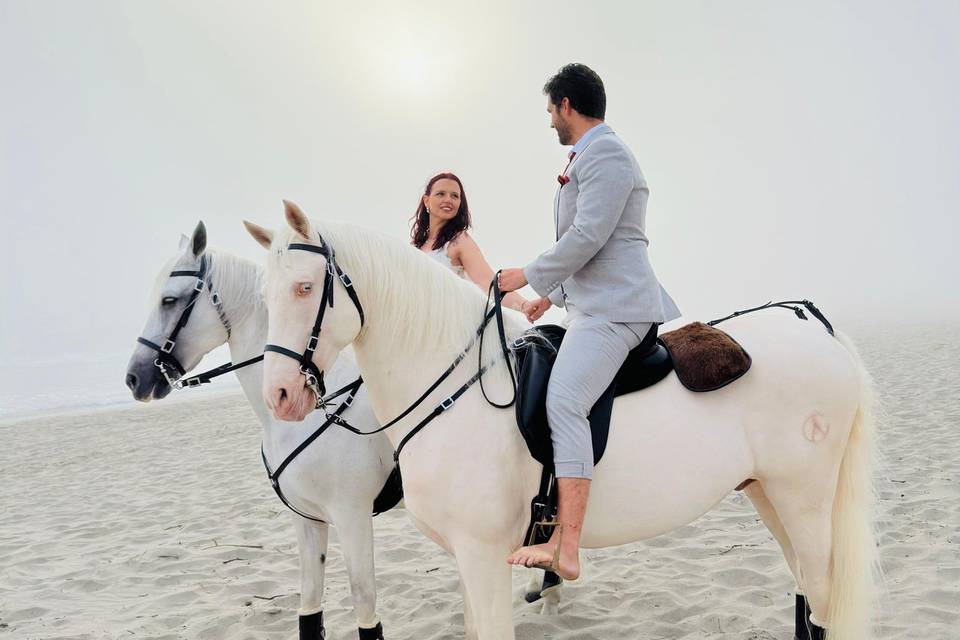 Um amor embalado pelo mar…