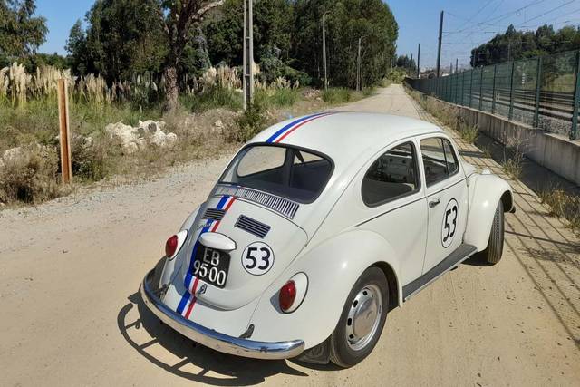 Herbie