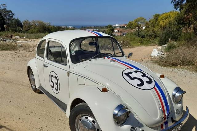 Herbie