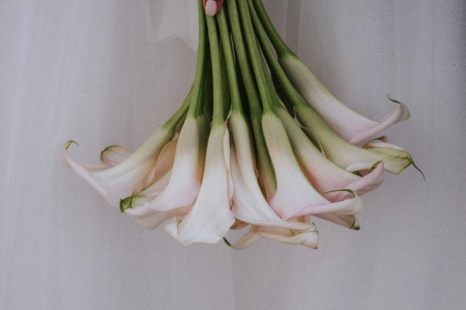 Bouquet Jarros