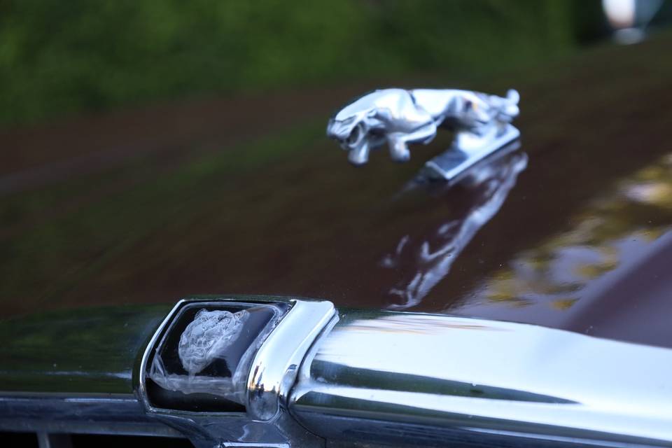 Jaguar XJ6 1979
