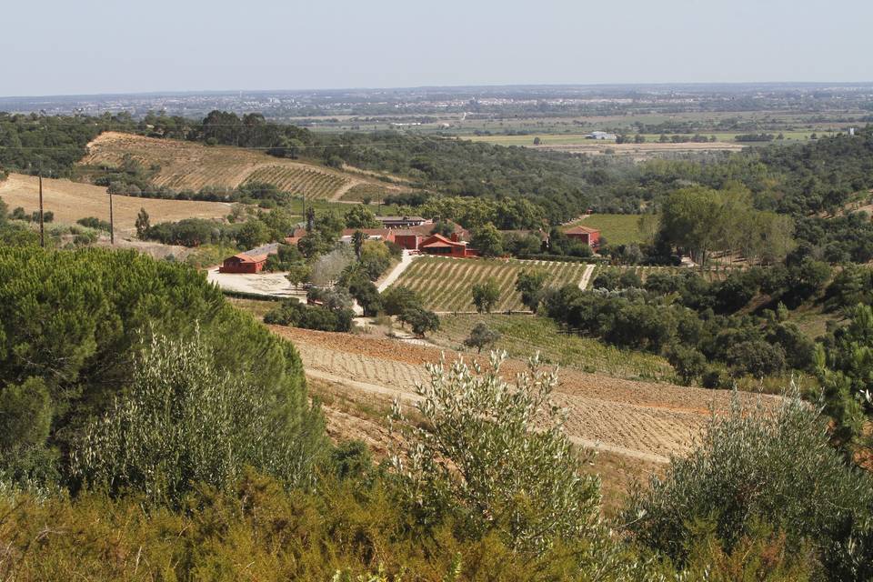 Vista aérea da quinta