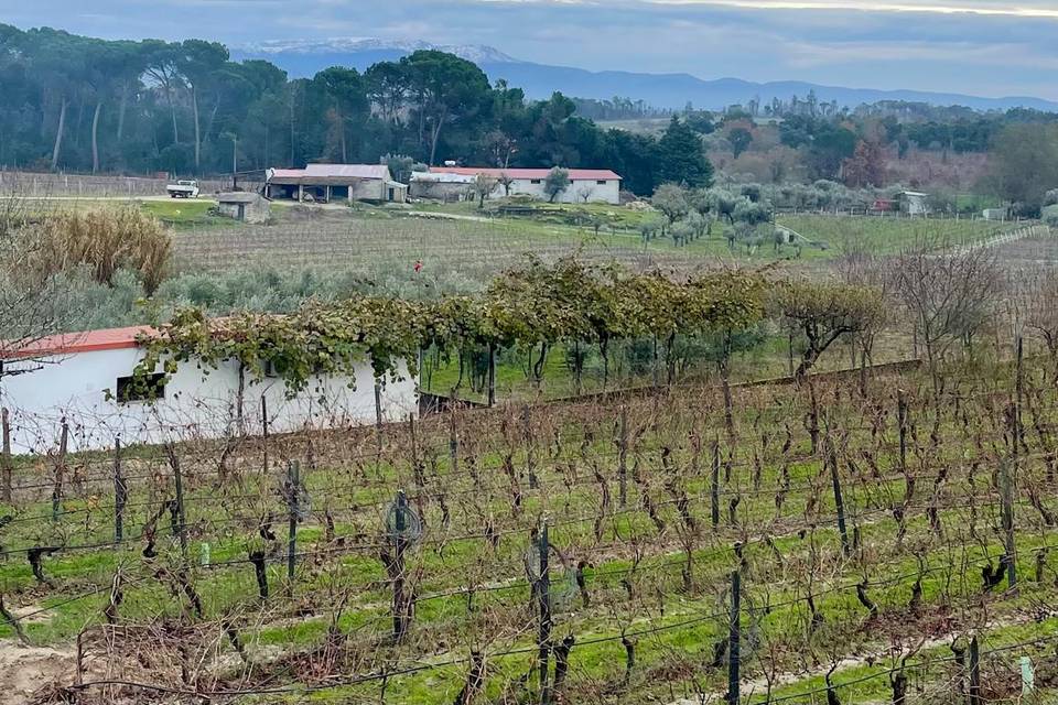 Vista do Quarto de Núpcias