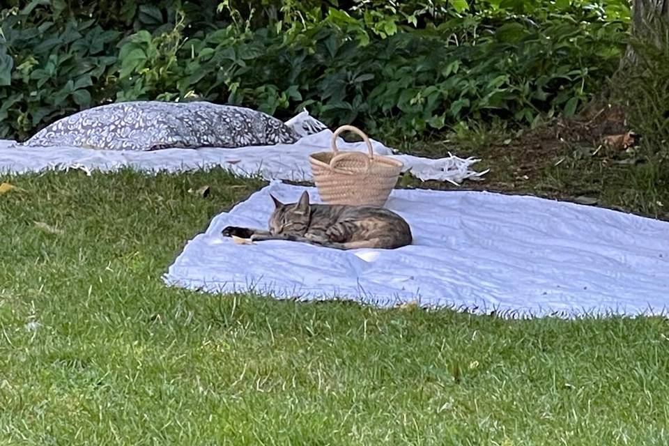 Decoração Exterior