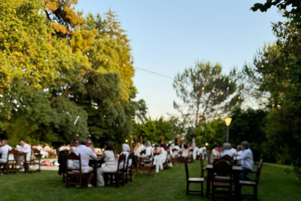 Casamento Minimalista no Exter