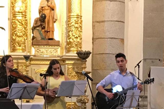 Violino, ukulele, guitarra