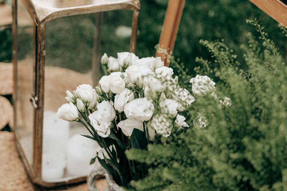 Leonel Jacinto Fotografia