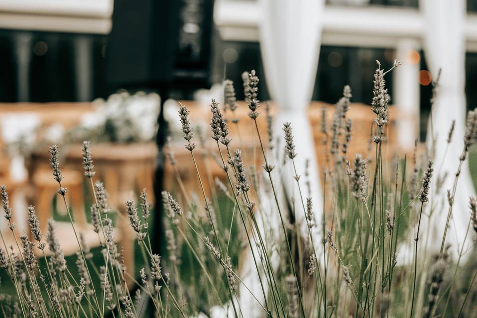 Leonel Jacinto Fotografia