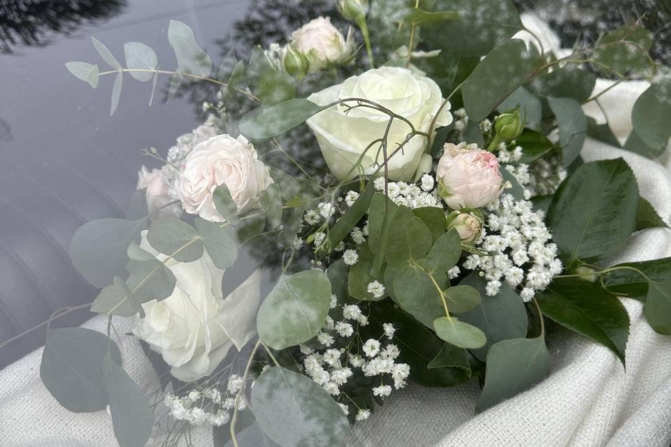 Flores
