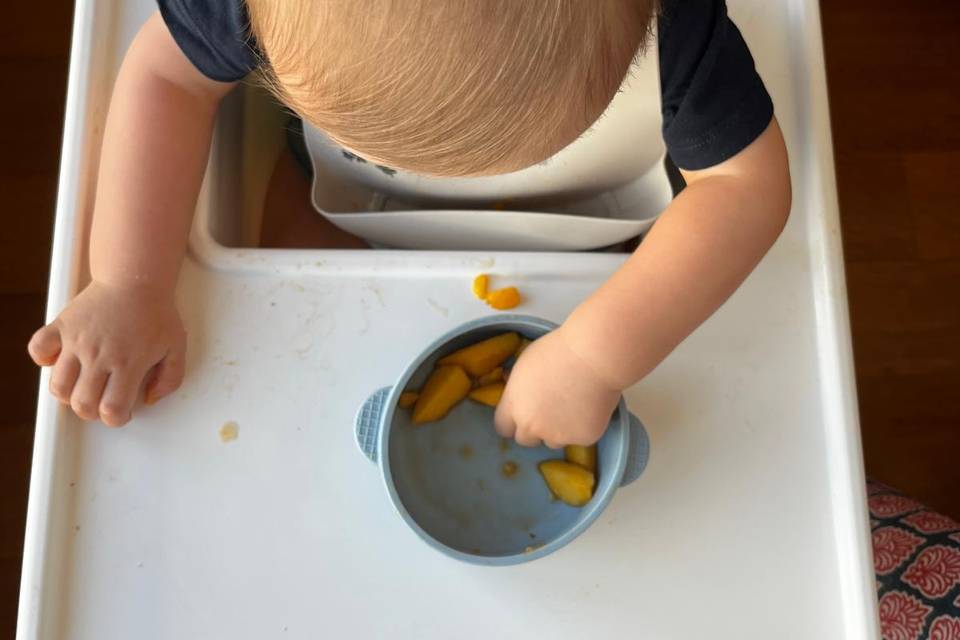 Alimentação