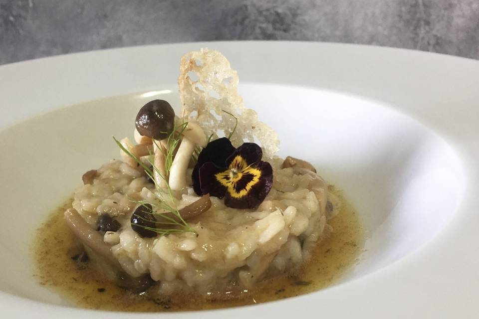 Risotto de cogumelos