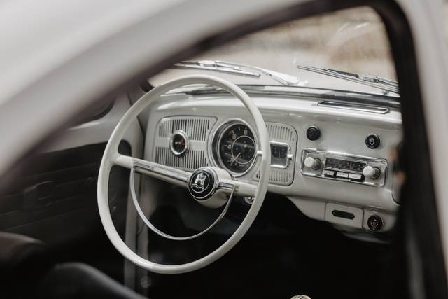 Beetle